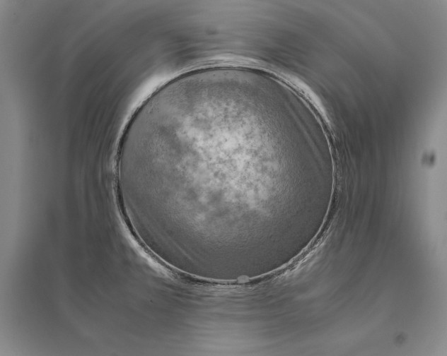 X0000095521381200801111426