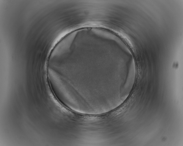 X0000095521382200801111426