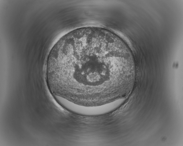 X0000095521383200801111426