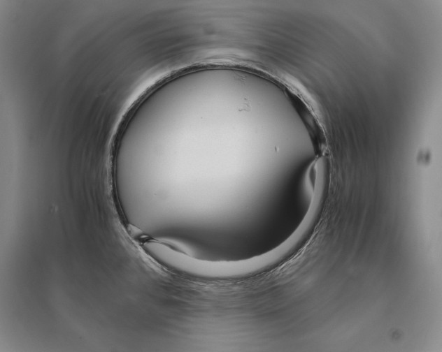 X0000095521384200801111426