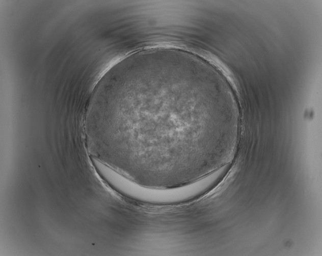 X0000095521385200801111426