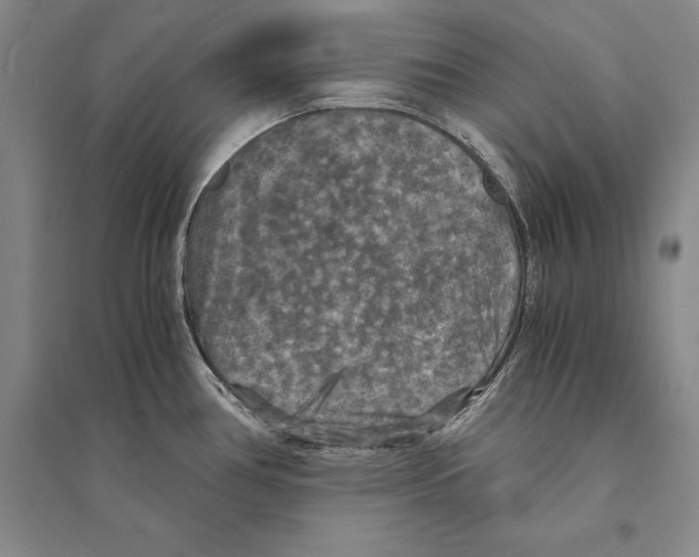 X0000095521386200801111426