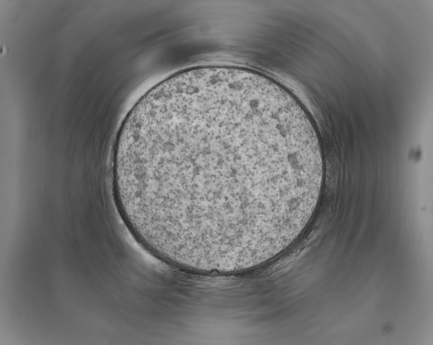 X0000095521387200801111426