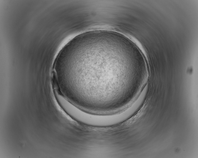 X0000095521389200801111426