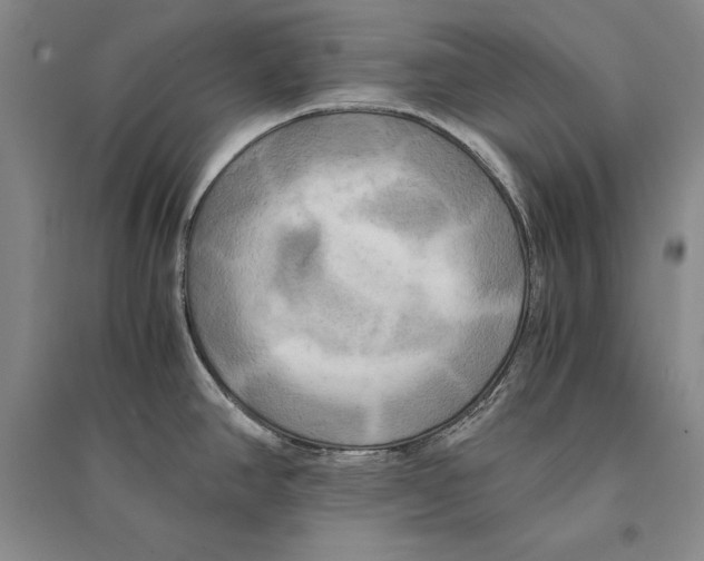 X0000095521390200801111426