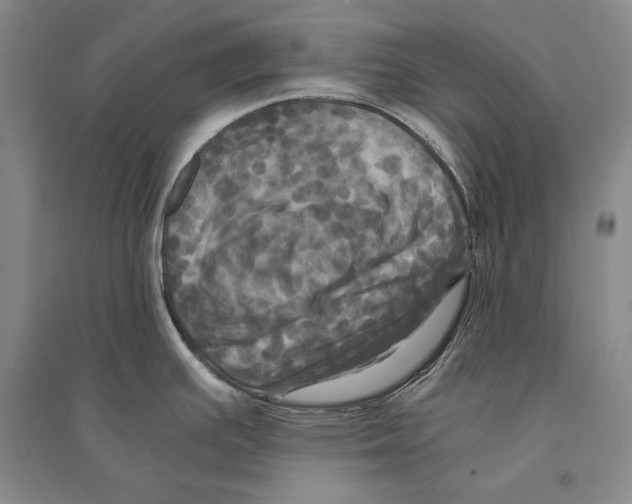 X0000095521391200801111426