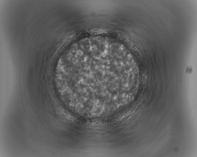 X0000095521393200801111425