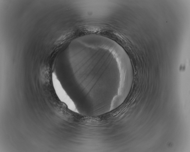 X0000095521394200801111425