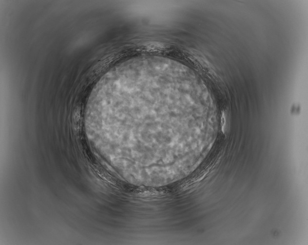 X0000095521395200801111425