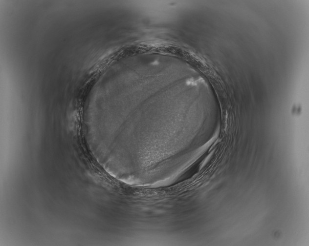 X0000095521397200801111425