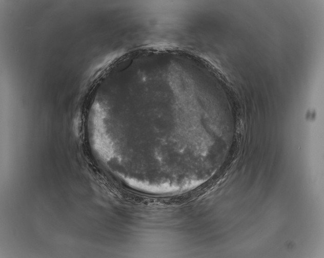 X0000095521398200801111425