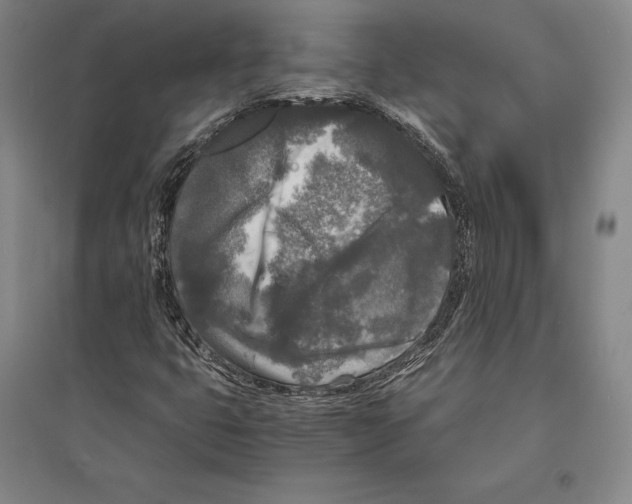 X0000095521399200801111425