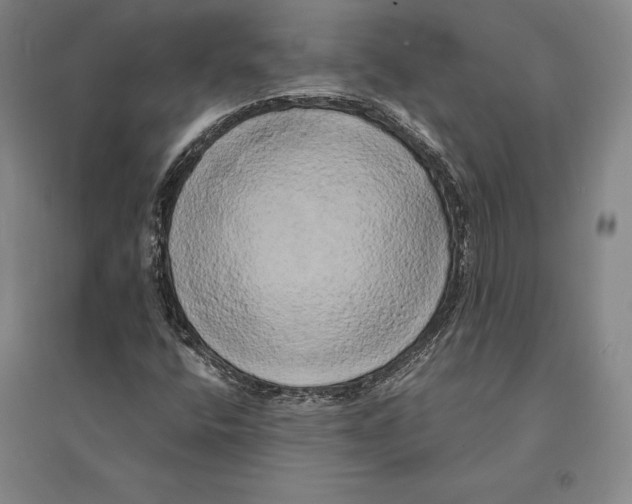 X0000095521400200801111425