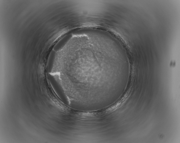 X0000095521401200801111425