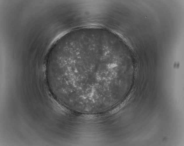 X0000095521402200801111425