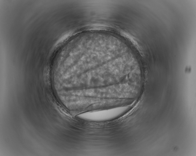 X0000095521403200801111425