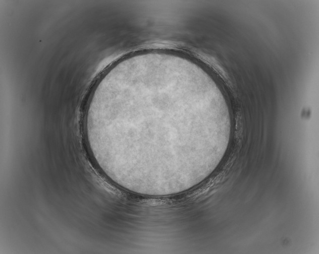 X0000095521404200801111425