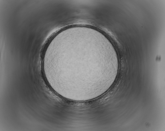 X0000095521408200801111425