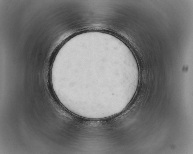 X0000095521410200801111425