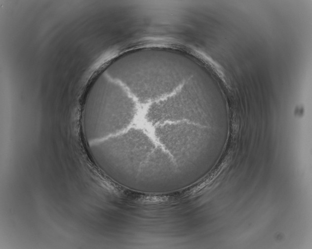 X0000095521411200801111425