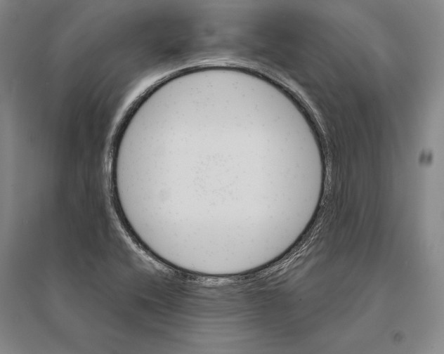 X0000095521416200801111426