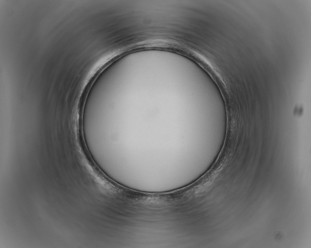 X0000095521418200801111426