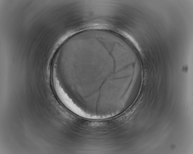 X0000095521419200801111426