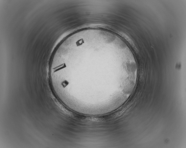X0000095521420200801111426