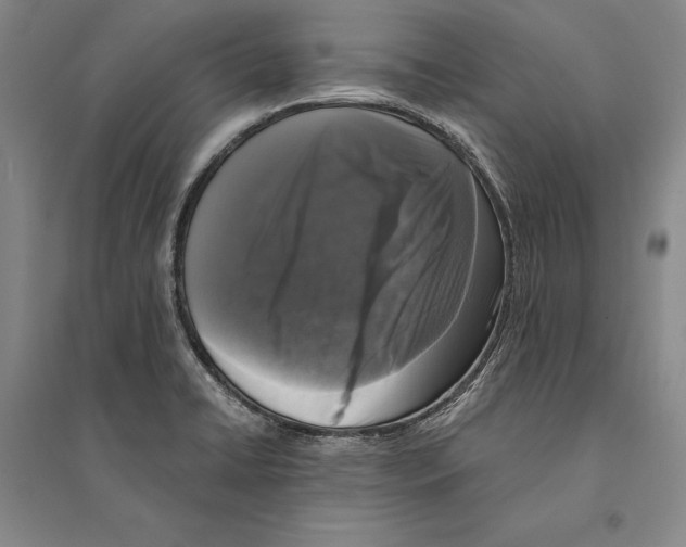 X0000095521422200801111426