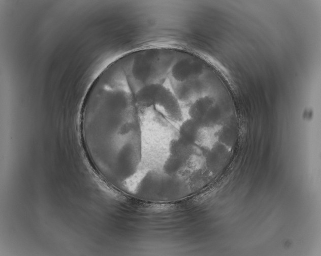 X0000095521423200801111426