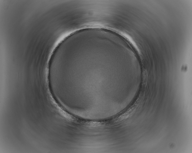 X0000095521424200801111426