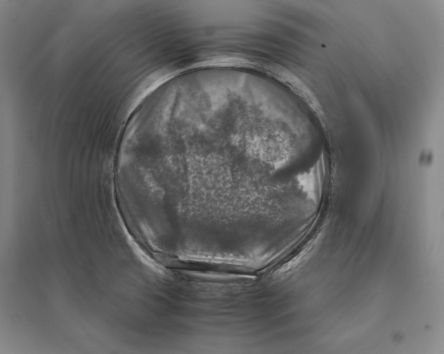 X0000095521425200801111426