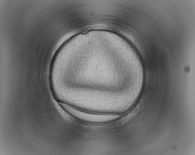 X0000095521426200801111426