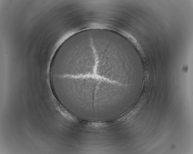 X0000095521427200801111426