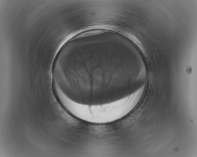 X0000095521428200801111426