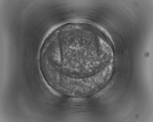 X0000095521429200801111426