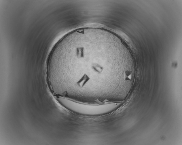 X0000095521430200801111426