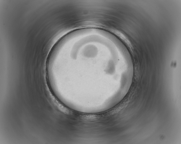 X0000095521431200801111426