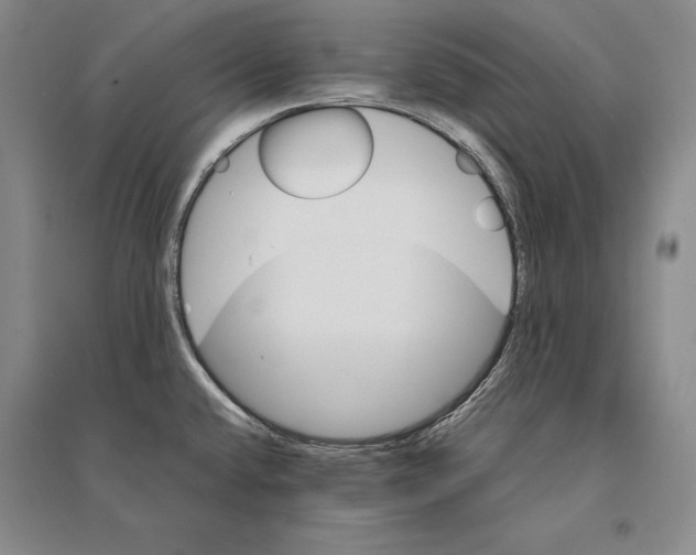 X0000095521432200801111426