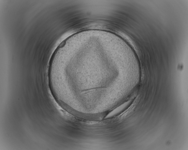 X0000095521434200801111426