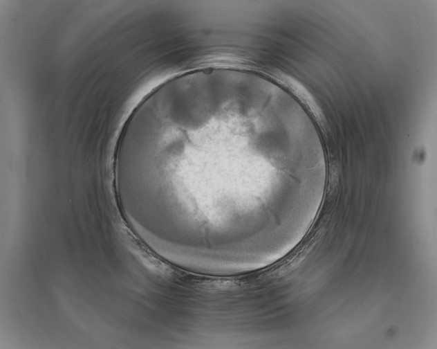 X0000095521435200801111426