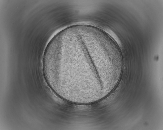 X0000095521436200801111426