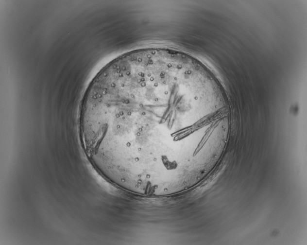 X0000095521438200801111426