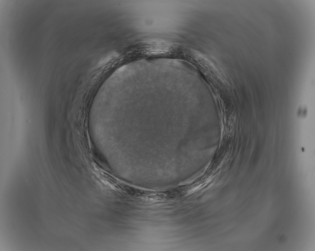 X0000095521441200801111425