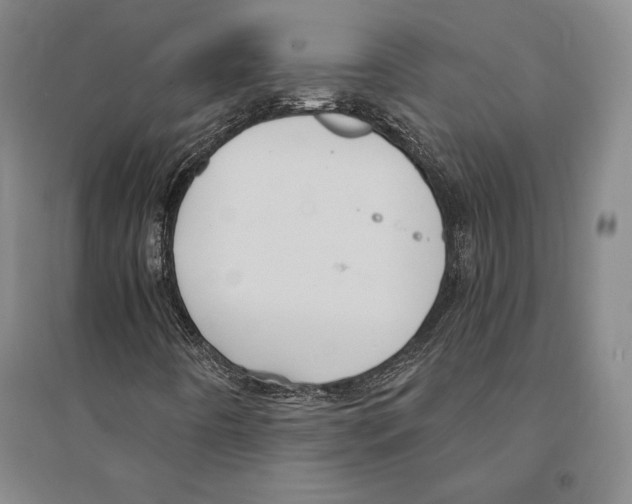 X0000095521442200801111425