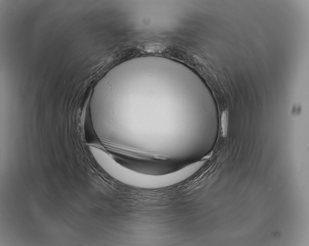 X0000095521443200801111425