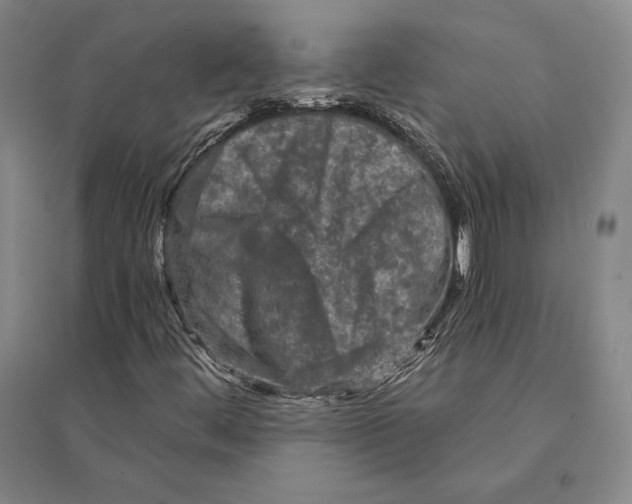 X0000095521444200801111425