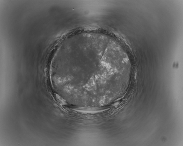 X0000095521445200801111425