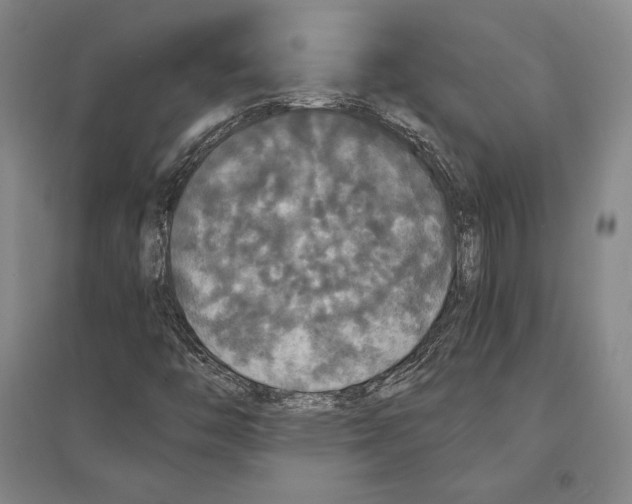 X0000095521446200801111425