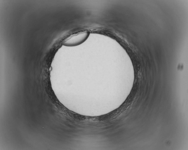 X0000095521447200801111425